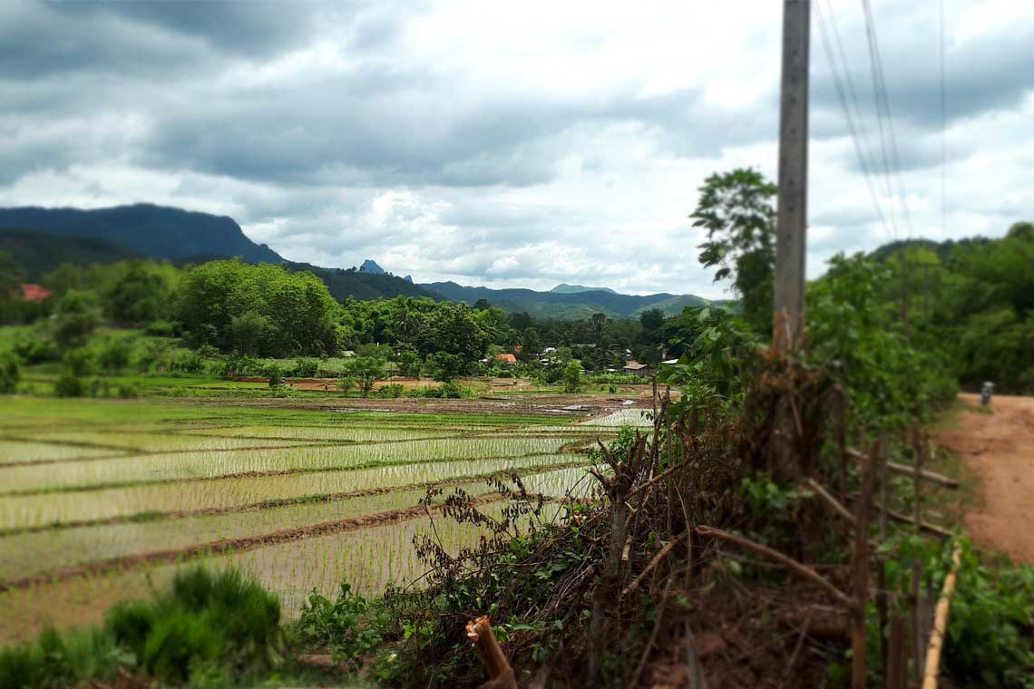 Luang Prabang Single Dirt Track explorer 1 Day